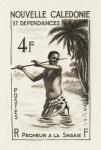 N_Caledonia_1962_Yvert_303-Scott_319_sepia_c_detail