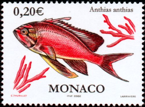 Monaco_2002_Yvert_2328-Scott_2229_fish_by_Larriviere_IS
