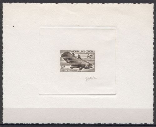 Comores_1954_Yvert_13-Scott_42_sepia_bb