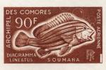 Comores_1968_Yvert_PA24-Scott_C24_brown_aa_detail