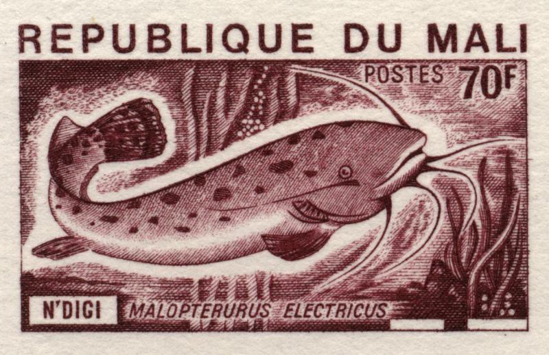 Mali_1975_Yvert_237-Scott_235_lilac-brown_c_detail