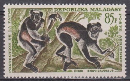 Madagascar_1961_Yvert_PA85-Scott_C68