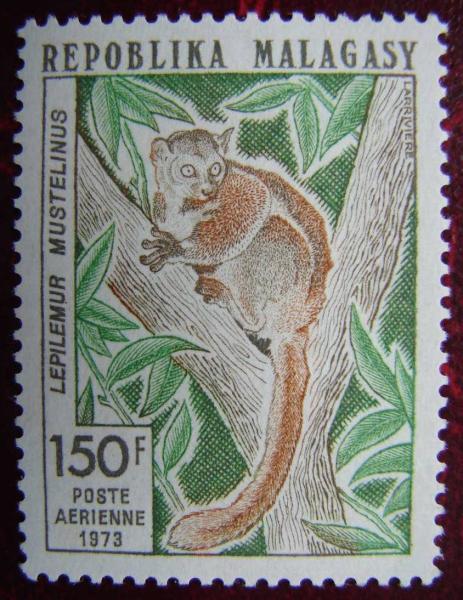 Madagascar_1973_Yvert_PA130-Scott_C117
