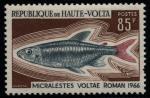 Upper_Volta_1969_Yvert_202-Scott_200