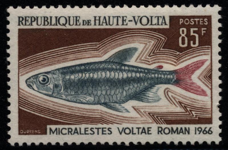 Upper_Volta_1969_Yvert_202-Scott_200
