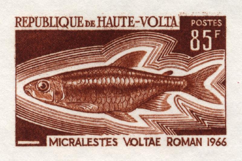 Upper_Volta_1969_Yvert_202-Scott_200_brown_aa_detail