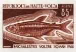 Upper_Volta_1969_Yvert_202-Scott_200_brown_c_detail