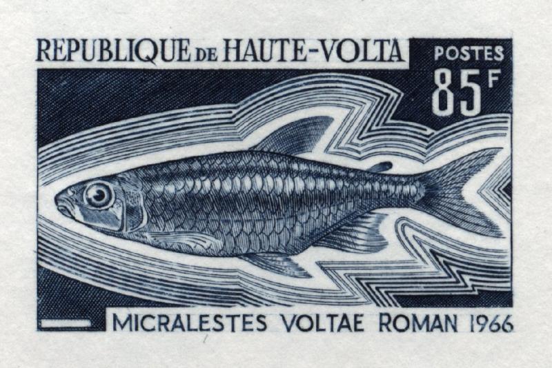 Upper_Volta_1969_Yvert_202-Scott_200_dark-blue_detail