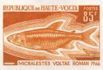 Upper_Volta_1969_Yvert_202-Scott_200_orange_f_detail