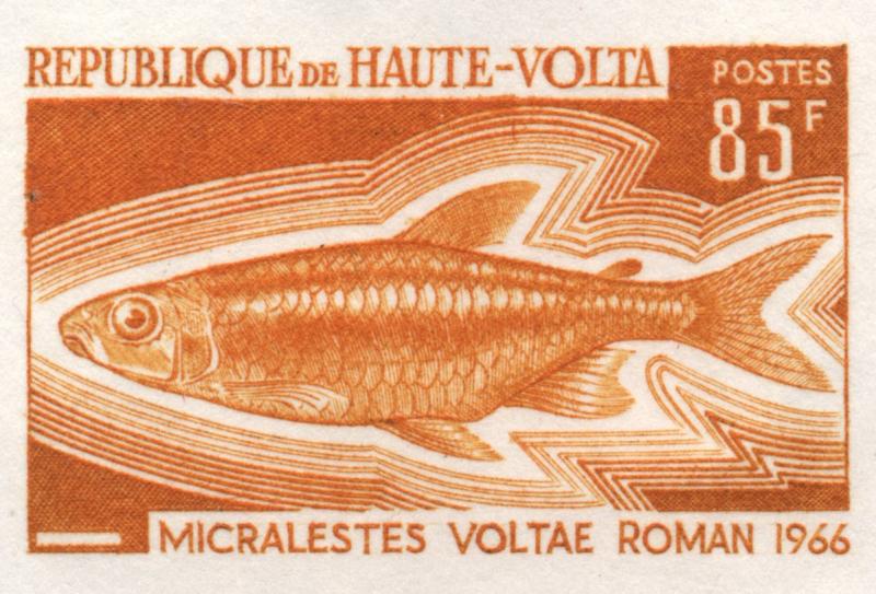 Upper_Volta_1969_Yvert_202-Scott_200_orange_f_detail