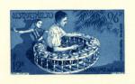 Laos_1957_Yvert_PA24-Scott_C24_blue_detail