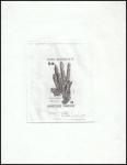 FSAT_1986_Yvert_119-Scott_122_etat_black