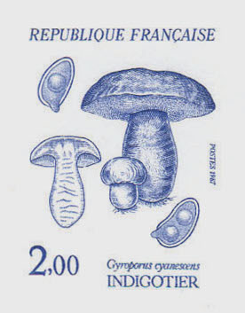 France_1987_Yvert_2488-Scott_2050_positive_blue_detail