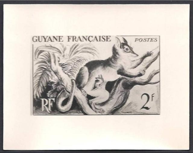 Fr_Guyana_1947_Yvert_207b-Scott_198_unadopted_2f_Sarrigue_PHOTO-MAQ