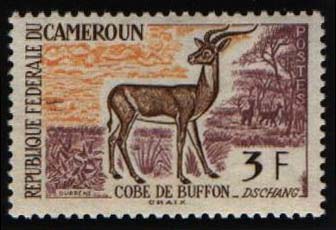 Cameroun_1962_Yvert_343-Scott_362_3f_Cobe_de_Buffon_IS
