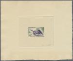 Sud_Vietnam_1955_Yvert_31a-Scott_29_unadopted_tortue_violet_+_green_ba_AP