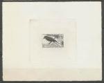 Somali_Coast_1967_Yvert_328a-Scott_309_unadopted_bird_instead_of_Afars_1er_etat_black_b_AP