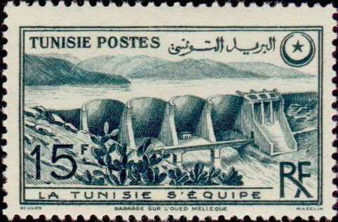 Tunisia_1949_Yvert_330-Scott_207