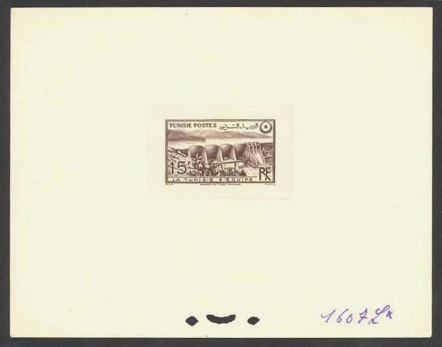 Tunisia_1949_Yvert_330-Scott_207_sepia_1607_Lx
