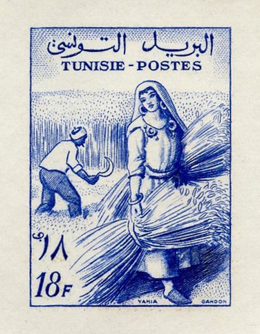 Tunisia_1956_Yvert_430-Scott_298_blue_1124_Lx_detail