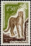 Mauritania_1963_Yvert_167-Scott_136