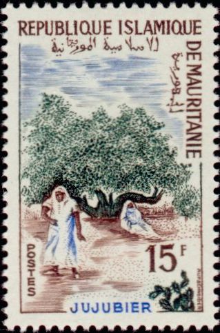 Mauritania_1967_Yvert_228-Scott_226