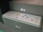 my_Collection_into_the_Monaco's_Postal_Museum_c_during_assenbly