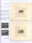 pag_048_English_Thoroughbred_Horse_-_Arabian_Horse