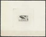 Somali_Coast_1967_Yvert_328a-Scott_309_unadopted_bird_instead_of_Afars_1er_etat_black_a_AP