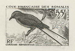 Somali_Coast_1967_Yvert_328a-Scott_309_unadopted_bird_instead_of_Afars_1er_etat_black_a_AP_detail