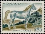 Monaco_1970_Yvert_837-Scott_787_85c_cheval_arabe_a_IS