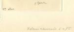 Monaco_1970_Yvert_837a-Scott_787_unadopted_1f30_cheval_arabe_1er_etat_black_b_AP_detail_b