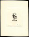 Monaco_1959_Yvert_516a-Scott_440_unadopted_1f_Mimosa_black_a_AP