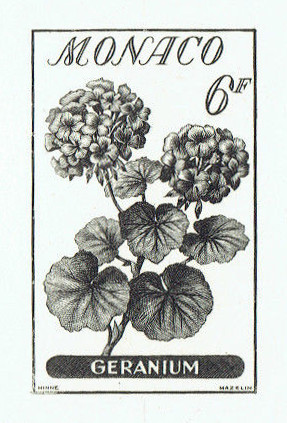 Monaco_1959_Yvert_518a-Scott_442_unadopted_6f_Geranium_black_bb_AP_detail