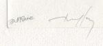 Monaco_1953_Yvert_391-Scott_300_black_a_detail_b