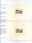 pag 037 d Morane-Saulnier monoplane d