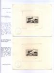 pag 037 f Deperdussin monoplane b