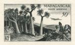 Madagascar_1954_Yvert_PA75-Scott_C58_black_c_detail