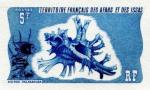Afars_1976_Yvert_422-Scott_383_blue_detail