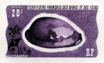 Afars_1976_Yvert_423-Scott_387_violet_aa_detail