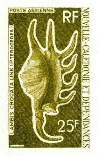 N_Caledonia_1972_Yvert_PA129-Scott_C89_olive-green_b_detail