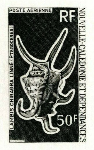 N_Caledonia_1972_Yvert_PA130-Scott_C90_black_b_detail