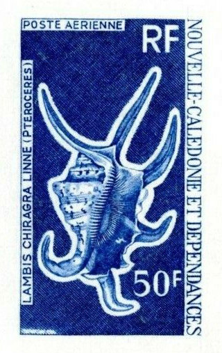 N_Caledonia_1972_Yvert_PA130-Scott_C90_blue_b_detail