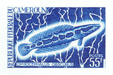 Cameroun_1968_Yvert_464-Scott_484_blue_b_detail