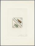 Central_Africa_1962_Yvert_Taxe_9-10-Scott_J9-10_hand_multicolor_b