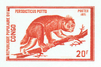Congo_1972_Yvert_323-Scott_273_red-orange_bb_detail
