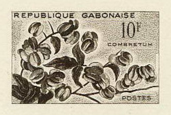 Gabon_1961_Yvert_158-Scott_159_etat_sepia_a_detail