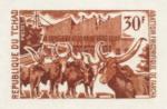 Chad_1969_Yvert_214-Scott_216_brown_e_detail