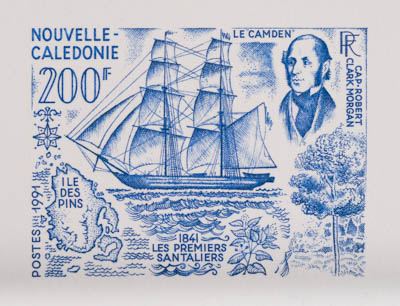 N_Caledonia_1991_Yvert_622-Scott_657_blue_b_detail