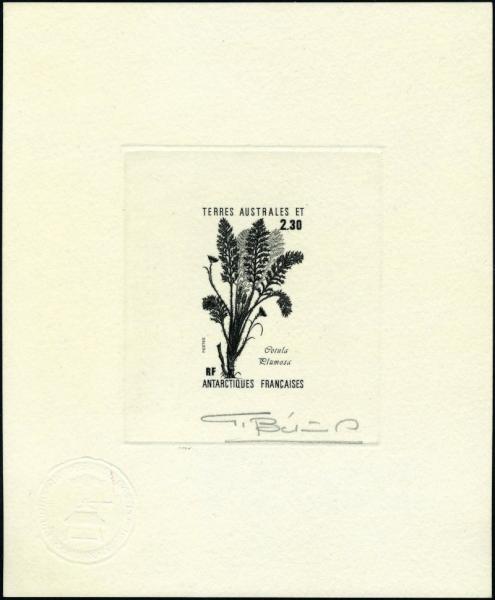 FSAT_1986_Yvert_118-Scott_121_black_d